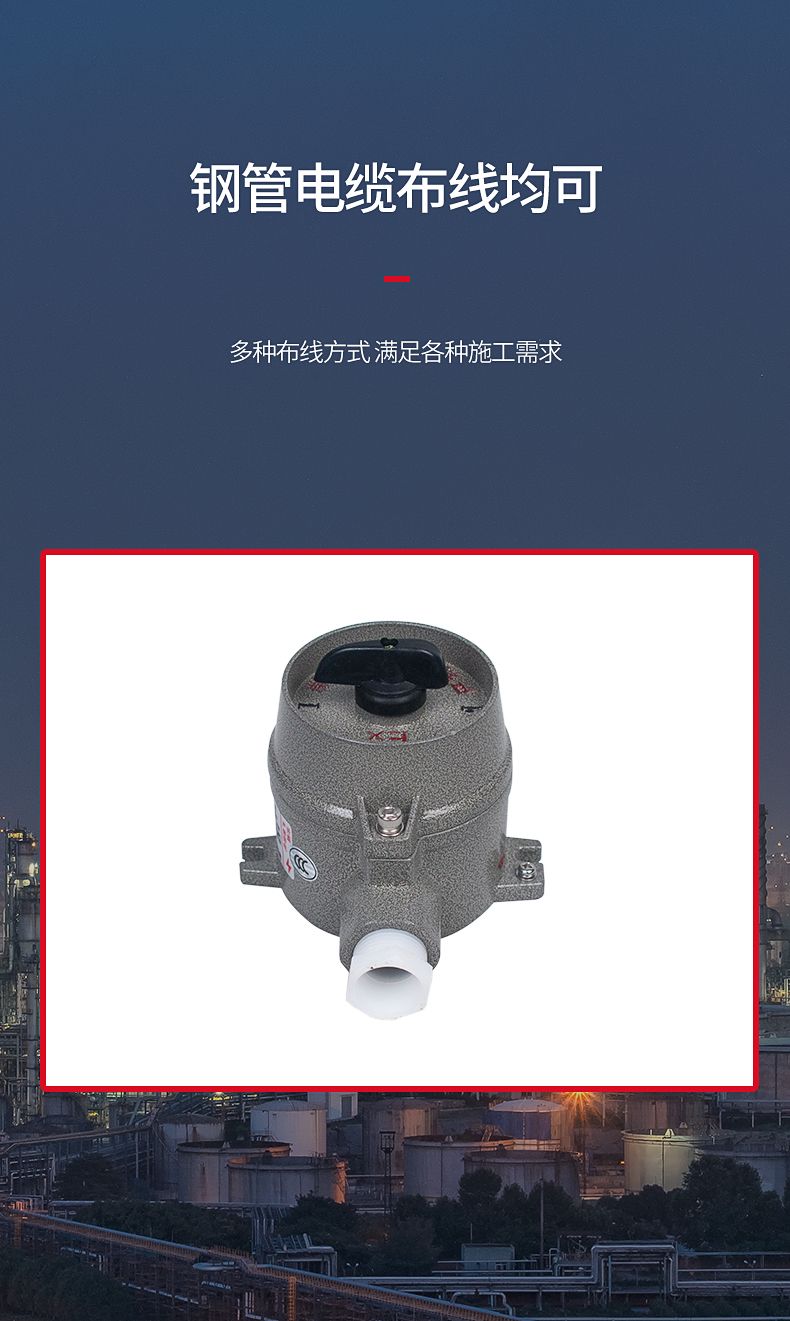 德力西SW-10防爆照明開關 壓鑄鋁合金外殼表面噴塑 增安型外殼 內裝隔爆型照明開關 防塵防水 防護等級IP65